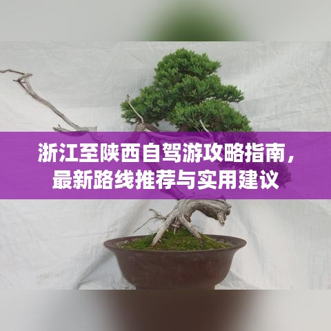 浙江至陕西自驾游攻略指南，最新路线推荐与实用建议