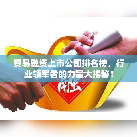 贸易融资上市公司排名榜，行业领军者的力量大揭秘！