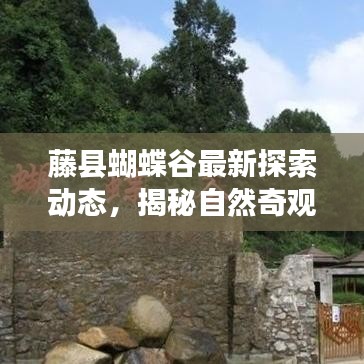 藤县蝴蝶谷最新探索动态，揭秘自然奇观新进展