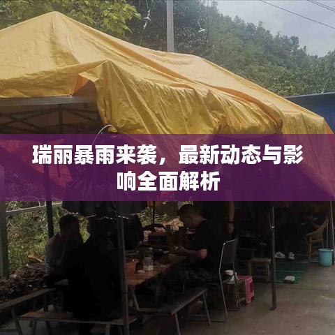 瑞丽暴雨来袭，最新动态与影响全面解析