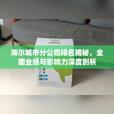海尔城市分公司排名揭秘，全国业绩与影响力深度剖析