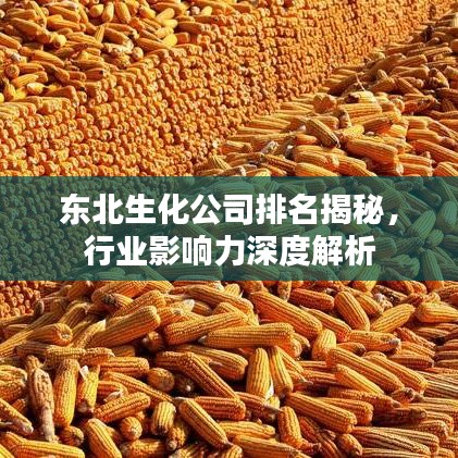 东北生化公司排名揭秘，行业影响力深度解析