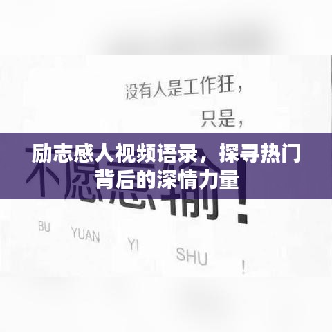 励志感人视频语录，探寻热门背后的深情力量