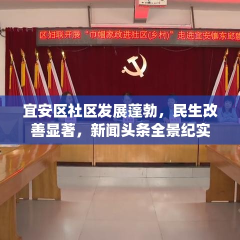 宜安区社区发展蓬勃，民生改善显著，新闻头条全景纪实