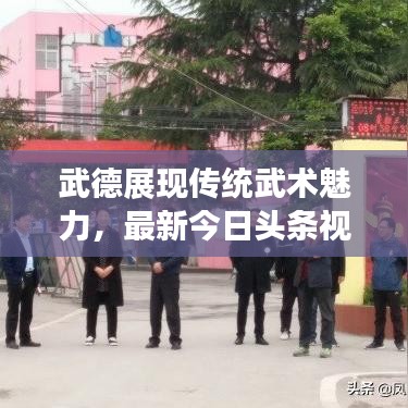 武德展现传统武术魅力，最新今日头条视频独家解析