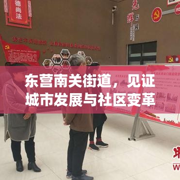 东营南关街道，见证城市发展与社区变革的新闻头条