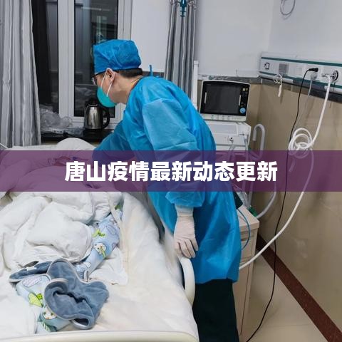 唐山疫情最新动态更新
