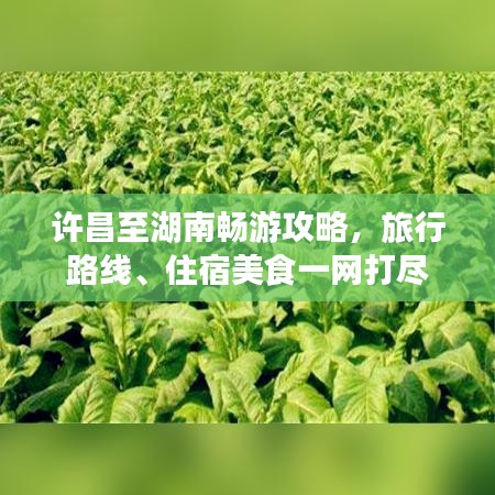 许昌至湖南畅游攻略，旅行路线、住宿美食一网打尽