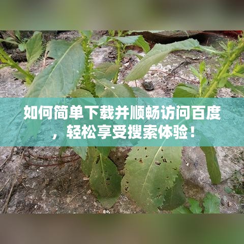 如何简单下载并顺畅访问百度，轻松享受搜索体验！