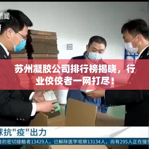 2025年6月11日 第13页