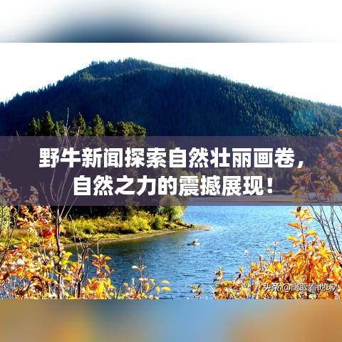 2025年6月11日 第12页