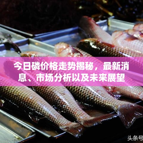 今日磷价格走势揭秘，最新消息、市场分析以及未来展望