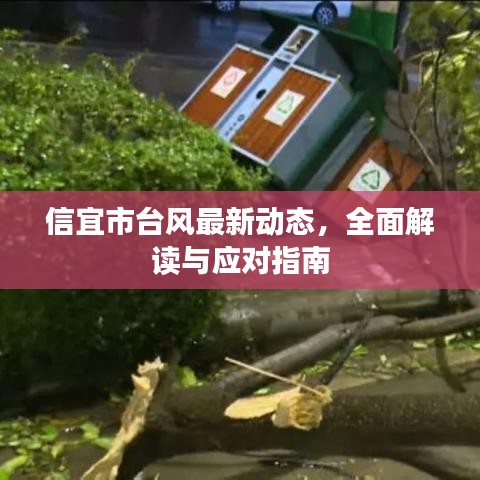 2025年6月11日 第4页