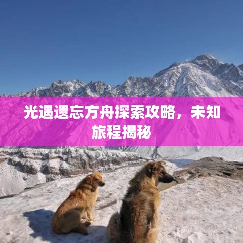 2025年6月12日 第43页