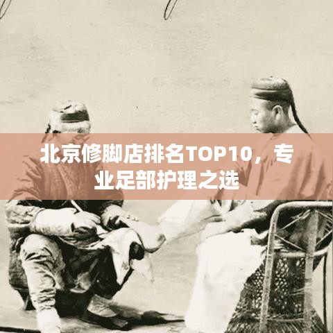 2025年6月12日 第41页