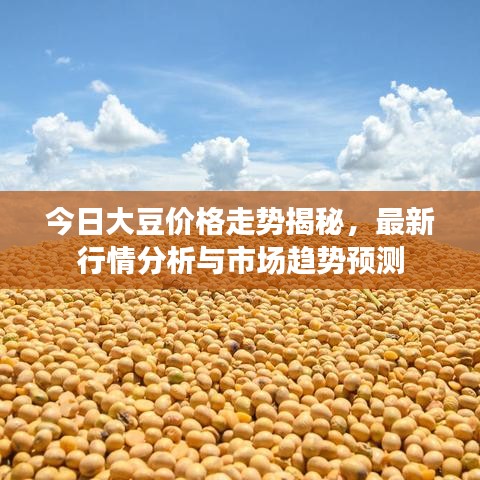 今日大豆价格走势揭秘，最新行情分析与市场趋势预测