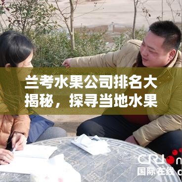 兰考水果公司排名大揭秘，探寻当地水果产业的领军者