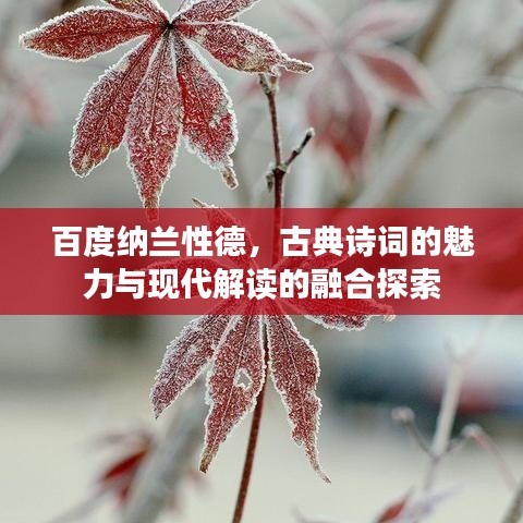 百度纳兰性德，古典诗词的魅力与现代解读的融合探索
