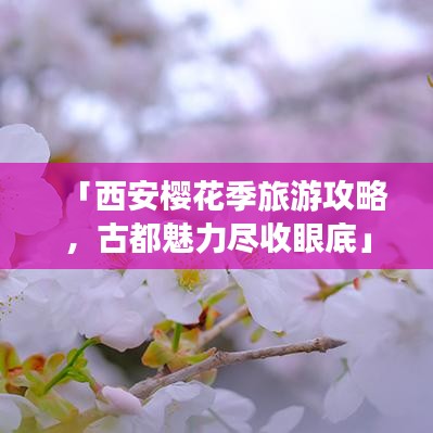 「西安樱花季旅游攻略，古都魅力尽收眼底」