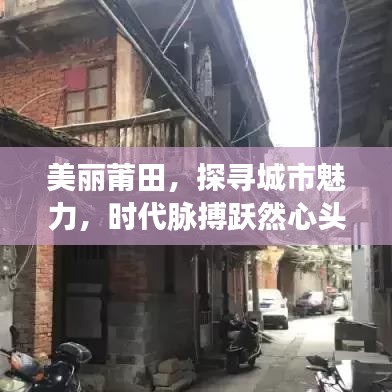 美丽莆田，探寻城市魅力，时代脉搏跃然心头