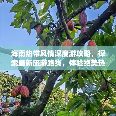 2025年6月12日 第33页