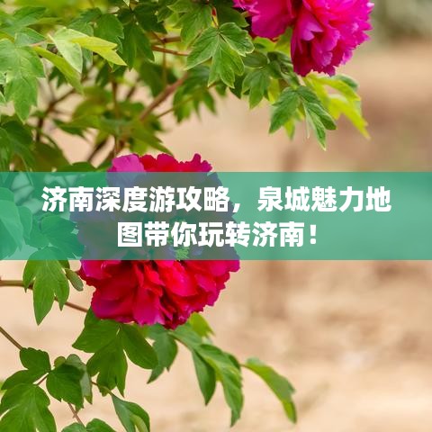 2025年6月12日 第29页