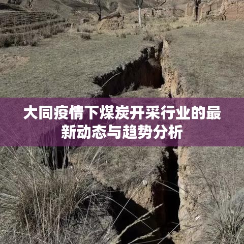 大同疫情下煤炭开采行业的最新动态与趋势分析