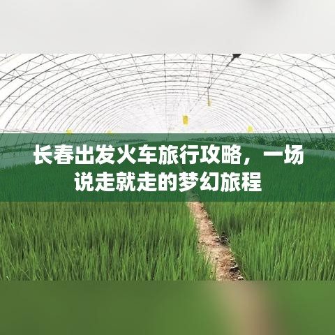 长春出发火车旅行攻略，一场说走就走的梦幻旅程