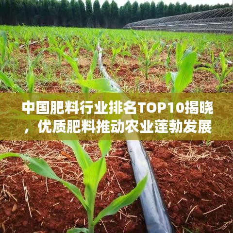 中国肥料行业排名TOP10揭晓，优质肥料推动农业蓬勃发展