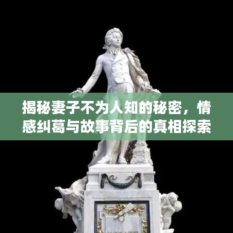 揭秘妻子不为人知的秘密，情感纠葛与故事背后的真相探索！