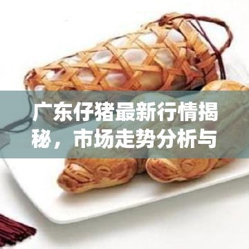 广东仔猪最新行情揭秘，市场走势分析与预测