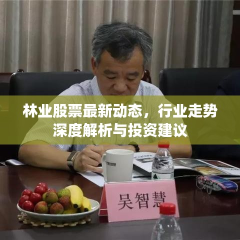 林业股票最新动态，行业走势深度解析与投资建议