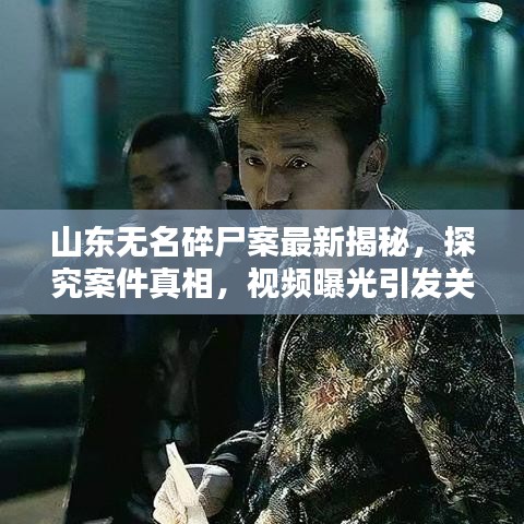 山东无名碎尸案最新揭秘，探究案件真相，视频曝光引发关注热潮
