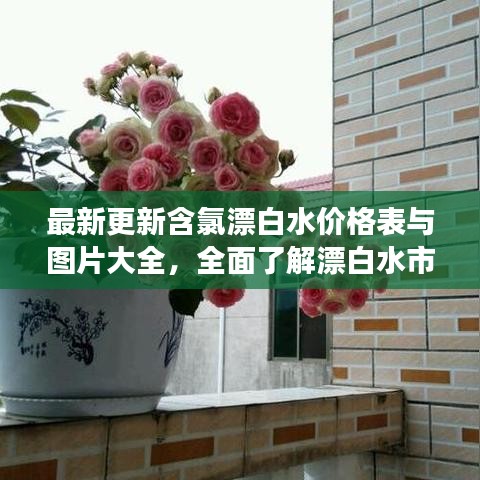 最新更新含氯漂白水价格表与图片大全，全面了解漂白水市场！