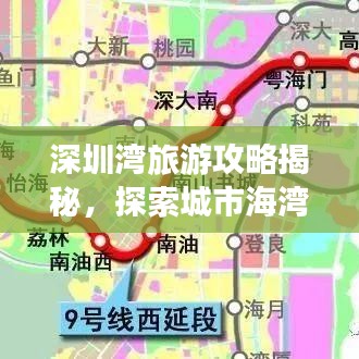 深圳湾旅游攻略揭秘，探索城市海湾的完美之旅体验
