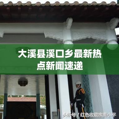 大溪县溪口乡最新热点新闻速递