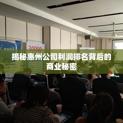 揭秘惠州公司利润排名背后的商业秘密