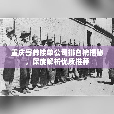 重庆寄养接单公司排名榜揭秘，深度解析优质推荐