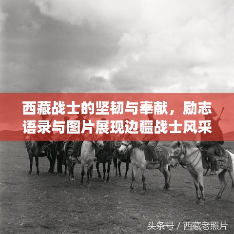 西藏战士的坚韧与奉献，励志语录与图片展现边疆战士风采