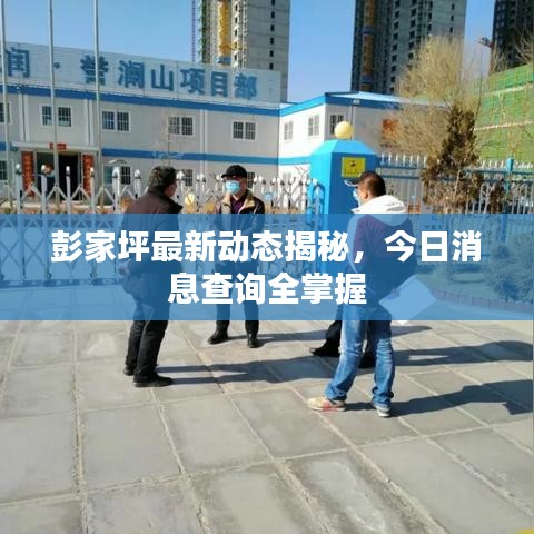 彭家坪最新动态揭秘，今日消息查询全掌握