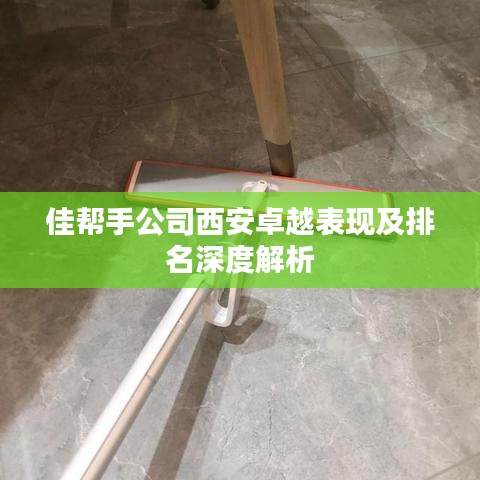 佳帮手公司西安卓越表现及排名深度解析