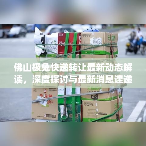 佛山极兔快递转让最新动态解读，深度探讨与最新消息速递
