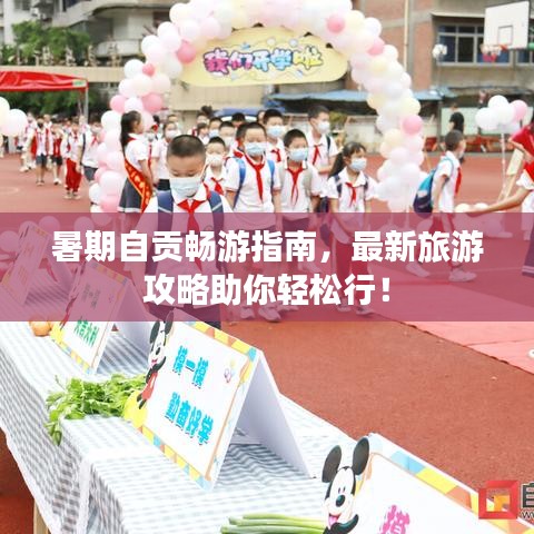 暑期自贡畅游指南，最新旅游攻略助你轻松行！