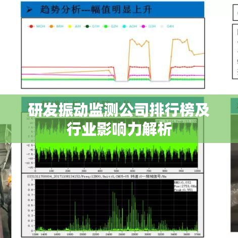 研发振动监测公司排行榜及行业影响力解析