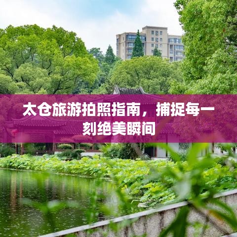 太仓旅游拍照指南，捕捉每一刻绝美瞬间