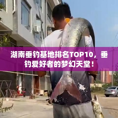 湖南垂钓基地排名TOP10，垂钓爱好者的梦幻天堂！