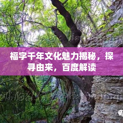 福字千年文化魅力揭秘，探寻由来，百度解读