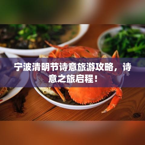 宁波清明节诗意旅游攻略，诗意之旅启程！