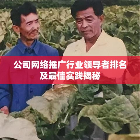 公司网络推广行业领导者排名及最佳实践揭秘
