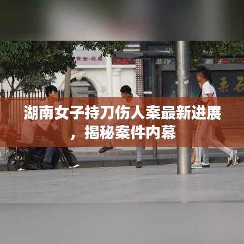 湖南女子持刀伤人案最新进展，揭秘案件内幕